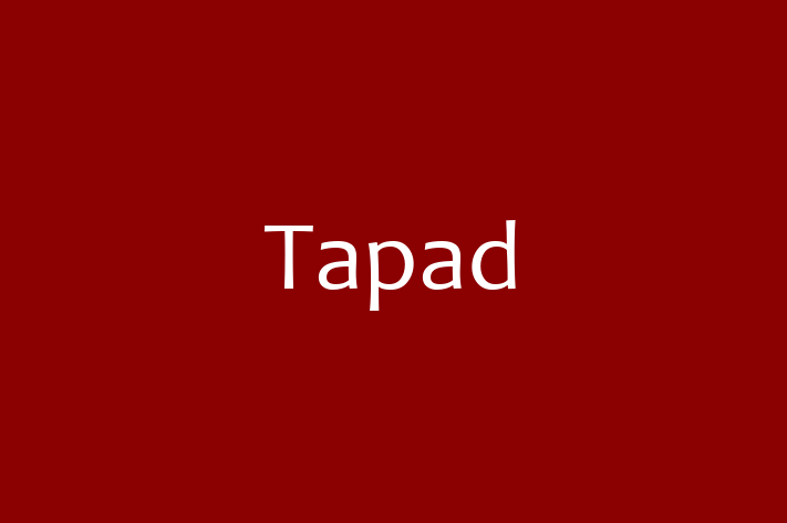 Technology Solutions Firm Tapad