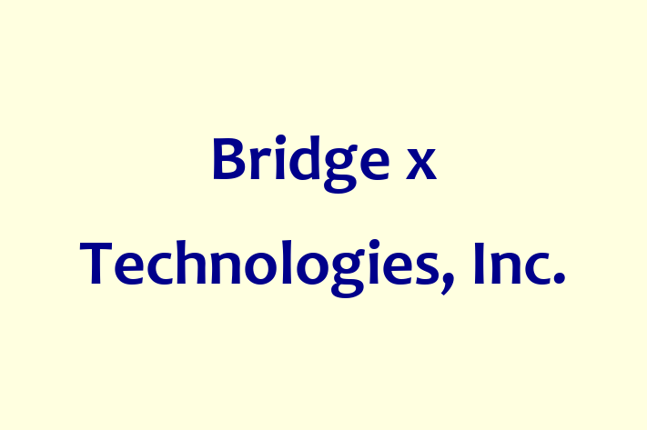 IT Company Bridge x Technologies Inc.