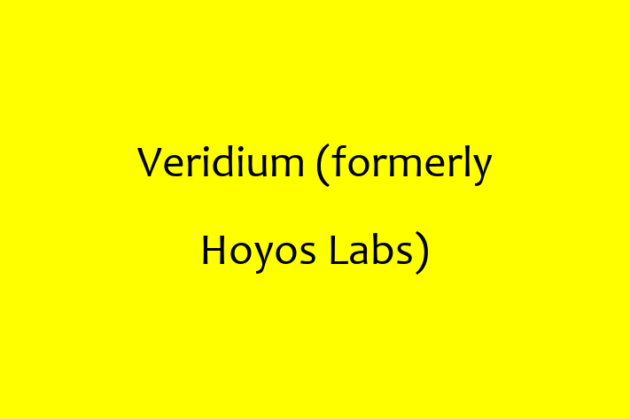 Software Firm Veridium formerly Hoyos Labs