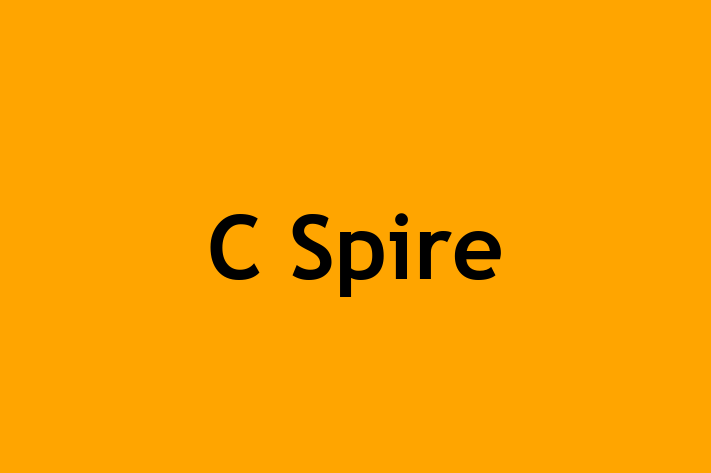 Digital Solutions Provider C Spire