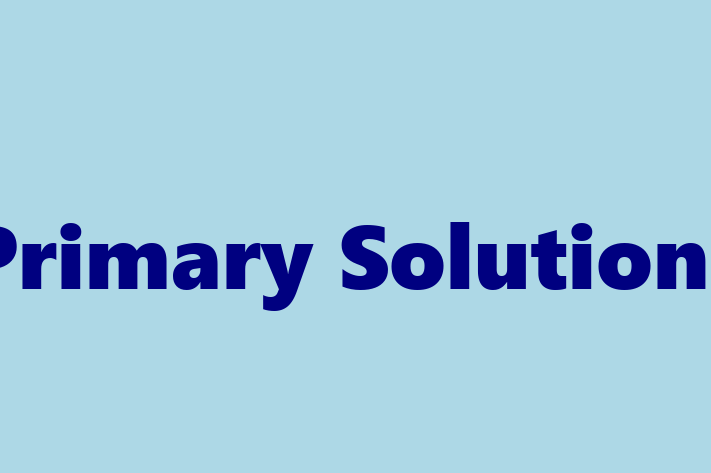 Technology Solutions Firm Primary Solutions