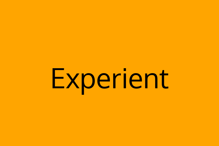 Tech Firm Experient