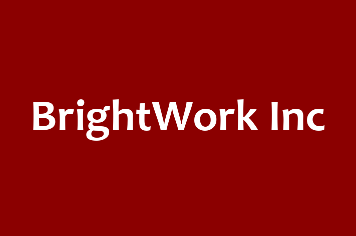 Digital Solutions Provider BrightWork Inc