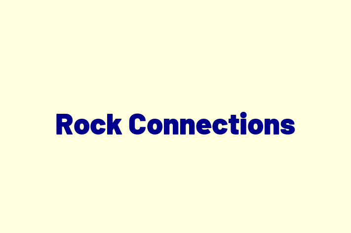 Software Firm Rock Connections