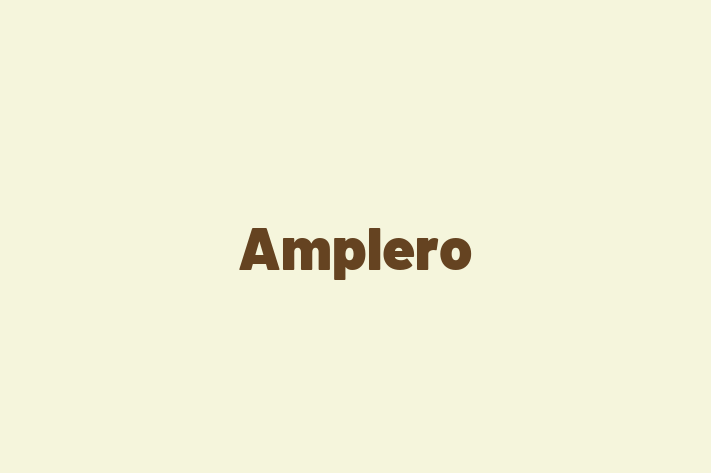 Tech Firm Amplero