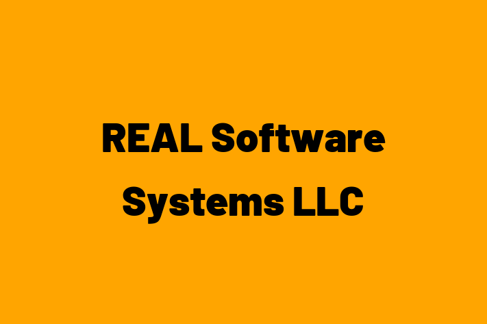 Tech Solutions Company REAL Software Systems LLC