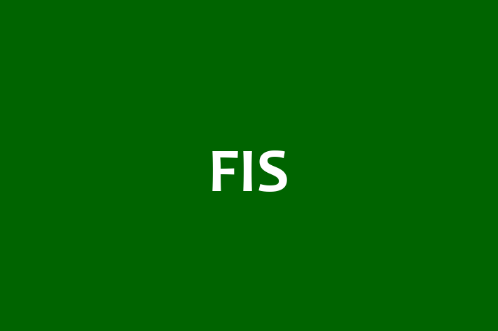 Tech Solutions Company FIS