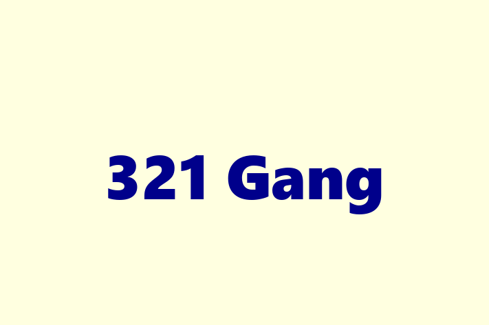 Application Development Company 321 Gang