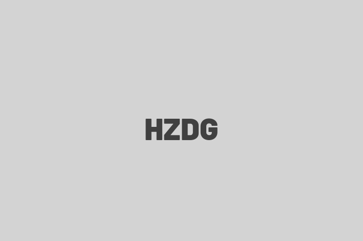 Software Consultancy HZDG