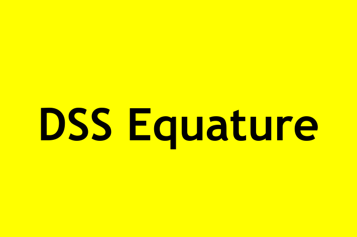 Software Engineering Company DSS Equature