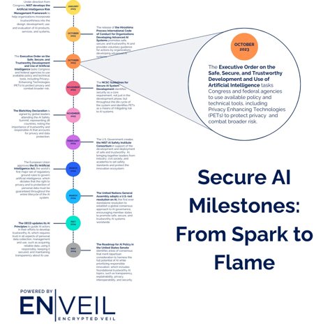 Software Engineering Company Enveil