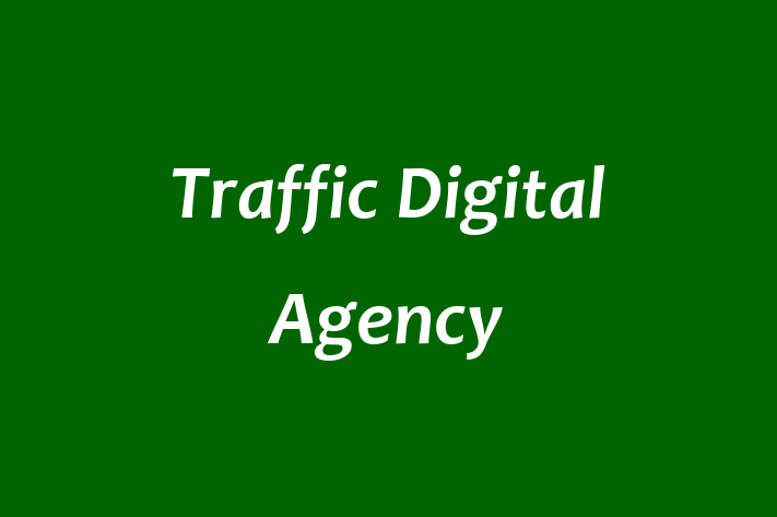 Software House Traffic Digital Agency