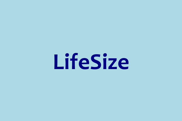 Software Engineering Company LifeSize