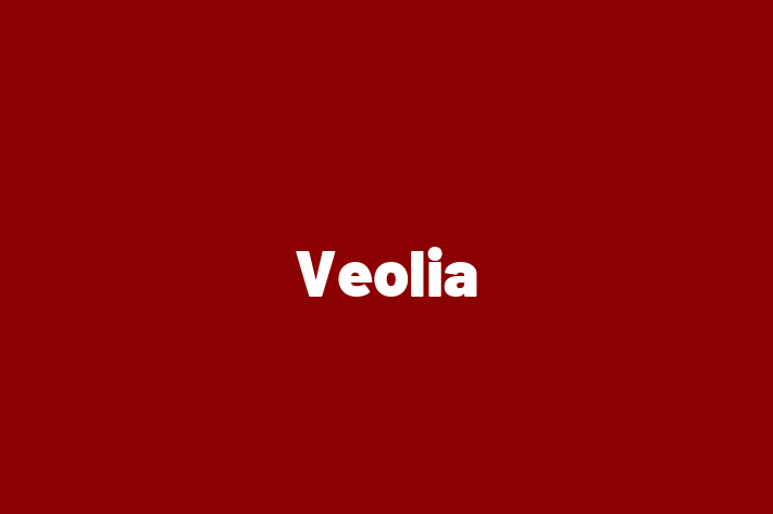 Software Consultancy Veolia