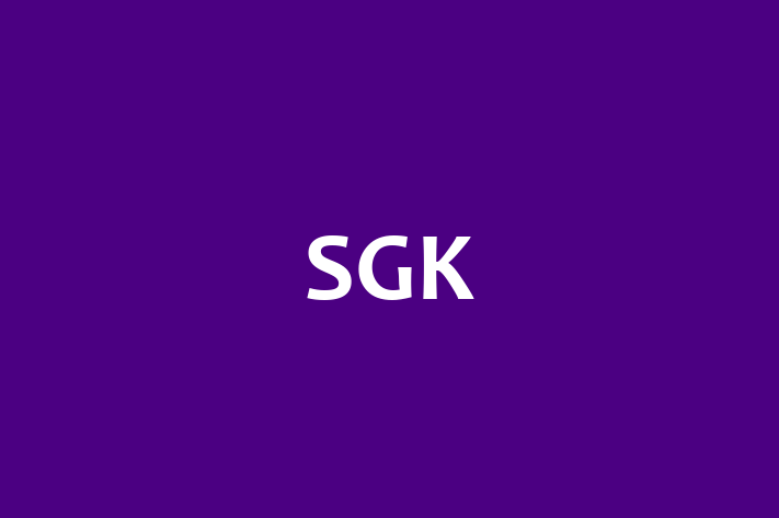 IT Company SGK