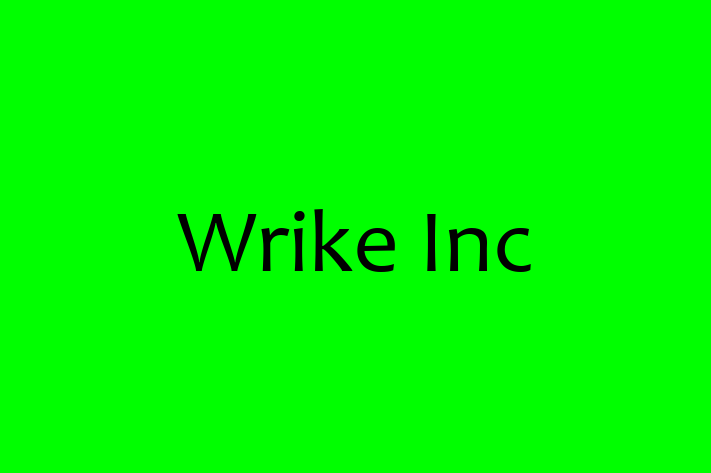 Digital Solutions Provider Wrike Inc