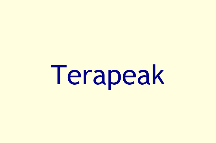 IT Company Terapeak