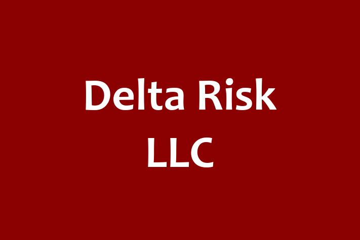 Digital Solutions Provider Delta Risk LLC