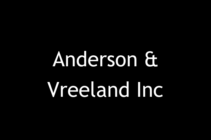 Software Development Company Anderson Vreeland Inc