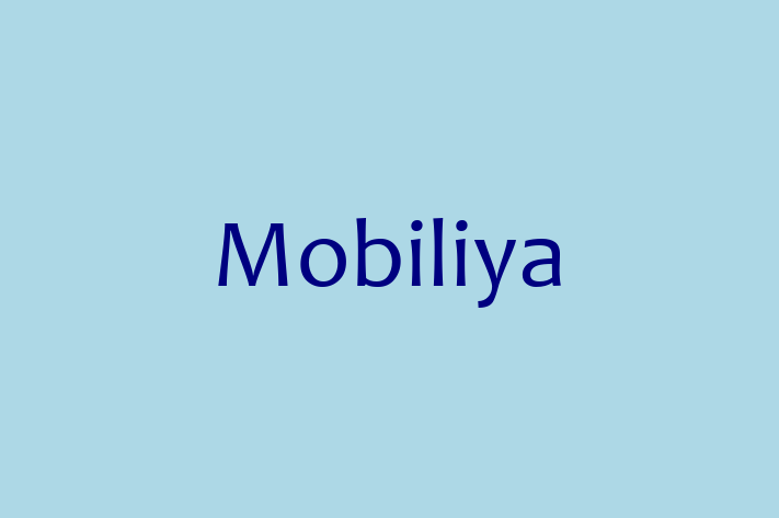 Digital Solutions Provider Mobiliya