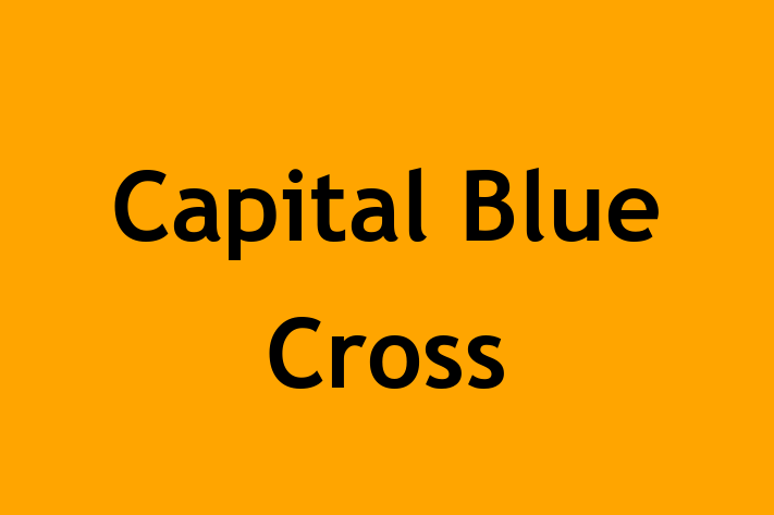 Workforce Management Capital Blue Cross