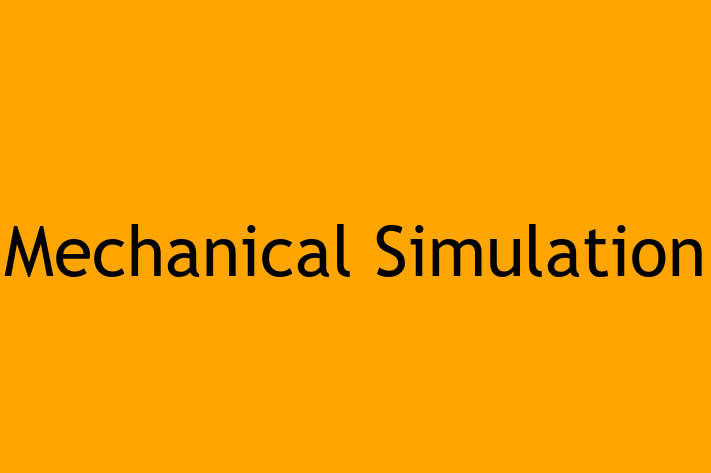 Software Consultancy Mechanical Simulation