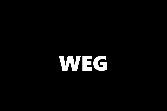 Software Firm WEG