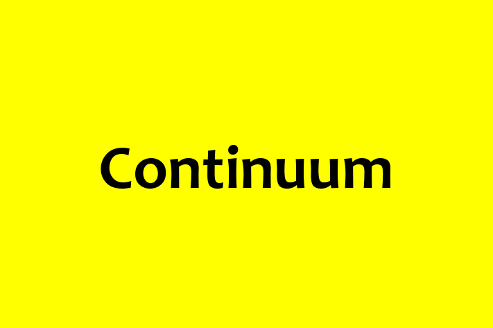 Digital Solutions Provider Continuum