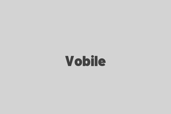 Software Engineering Company Vobile