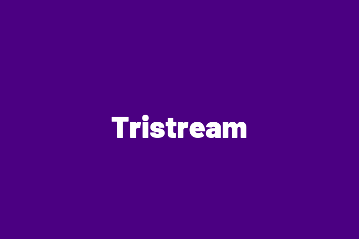 Software Development Firm Tristream