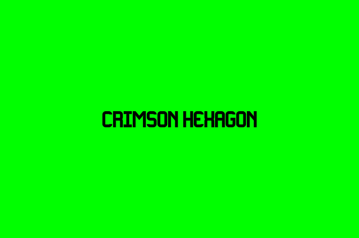 IT Company Crimson Hexagon