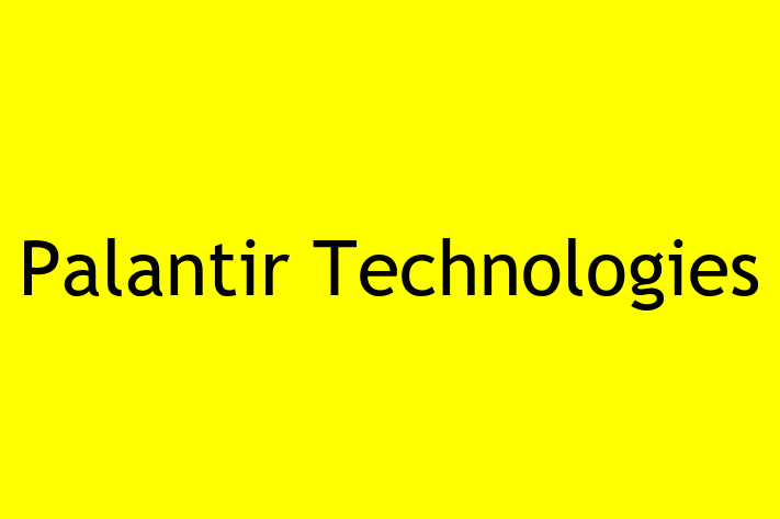 Technology Company Palantir Technologies