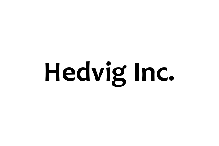 Software Engineering Company Hedvig Inc.