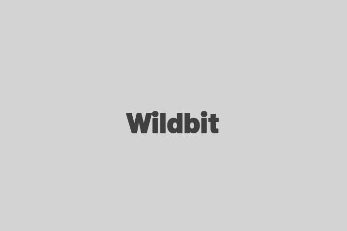 Software House Wildbit