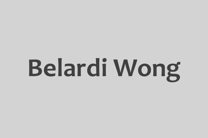 Technology Company Belardi Wong