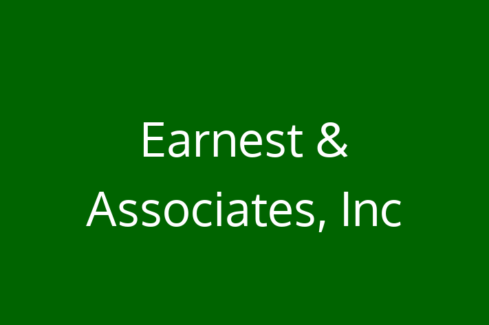 Software Development Company Earnest  Associates Inc