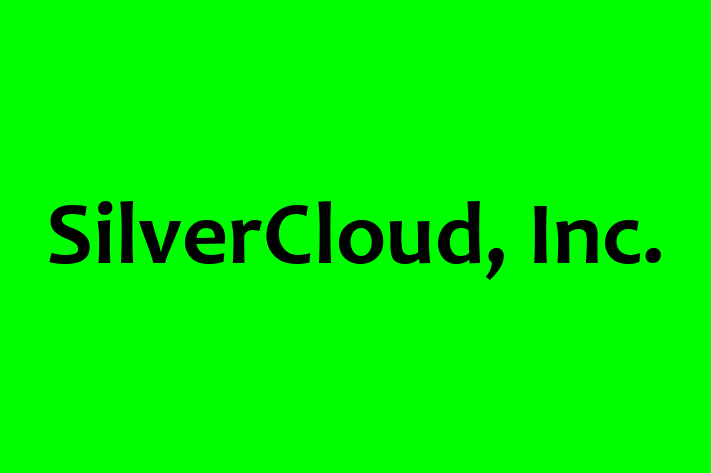 IT Company SilverCloud Inc.