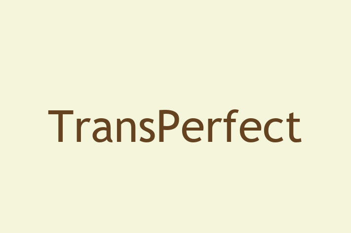 Digital Solutions Provider TransPerfect