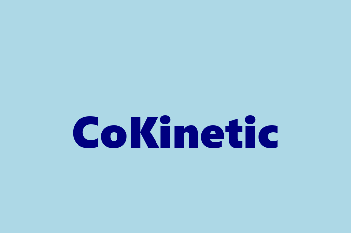 Software Development Firm CoKinetic