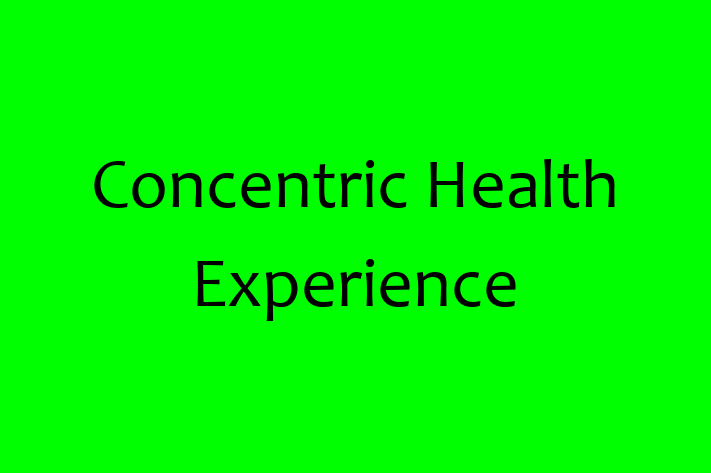 Software Firm Concentric Health Experience