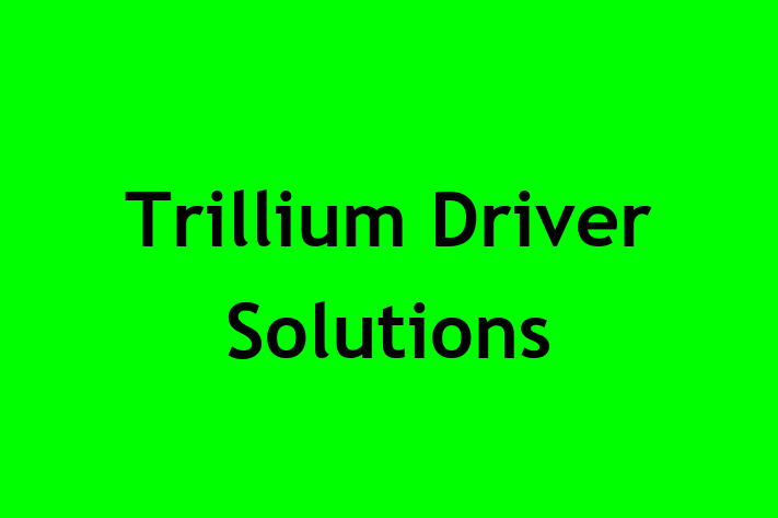 Human Capital Management Trillium Driver Solutions