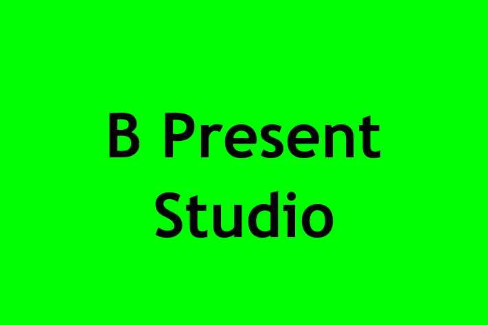 Human Capital Management B Present Studio