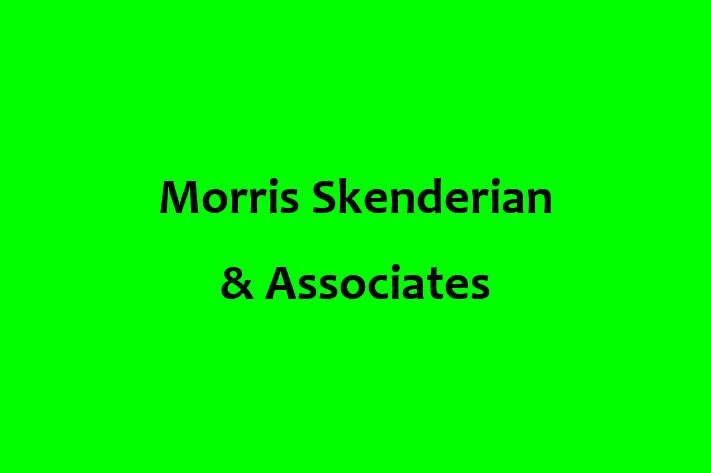 Structural architect Morris Skenderian Associates