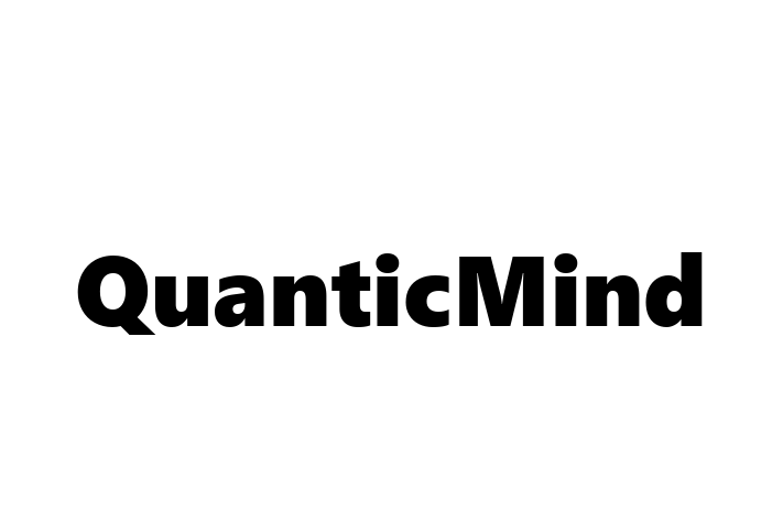 IT Company QuanticMind