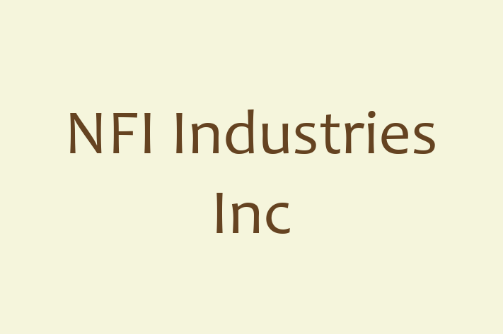 IT Company NFI Industries Inc