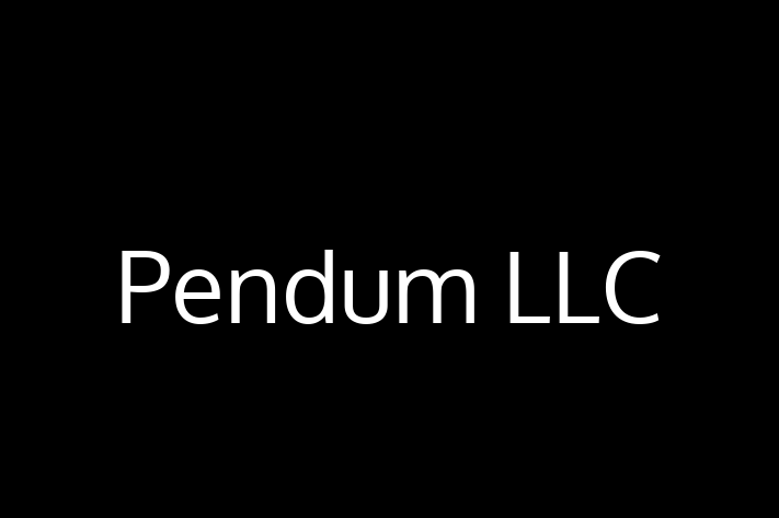 Software House Pendum LLC