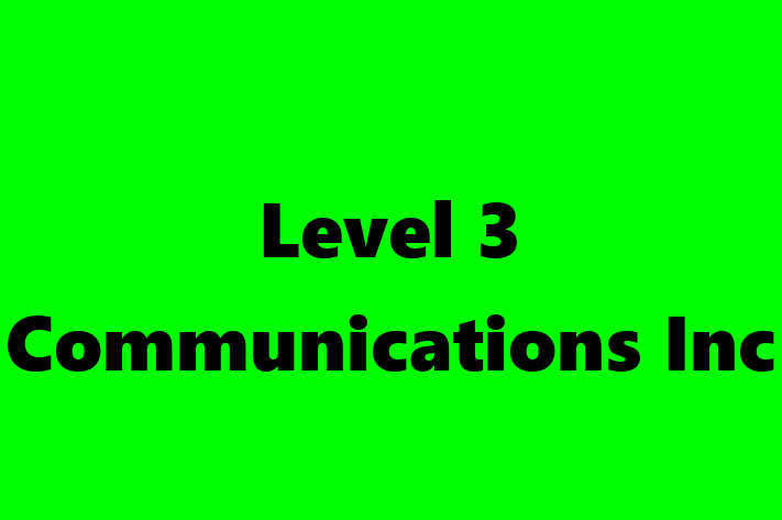 Digital Solutions Provider Level 3 Communications Inc