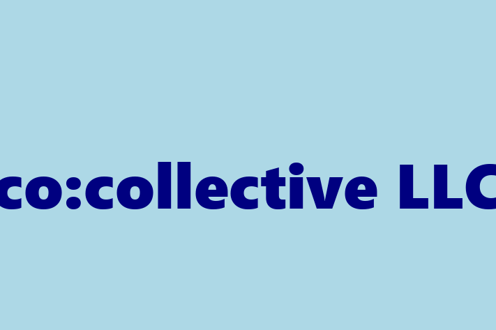 Software Consultancy cocollective LLC