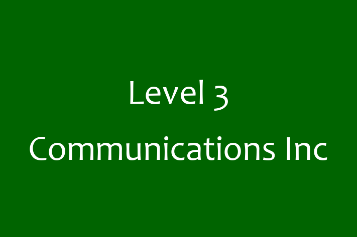 Digital Solutions Provider Level 3 Communications Inc