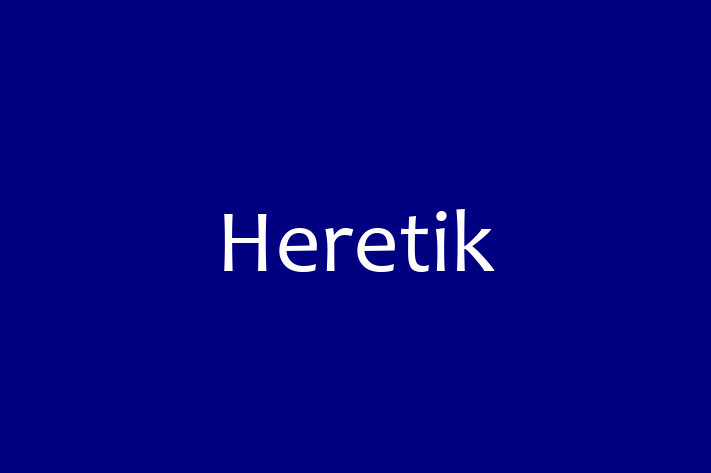 Software Engineering Company Heretik